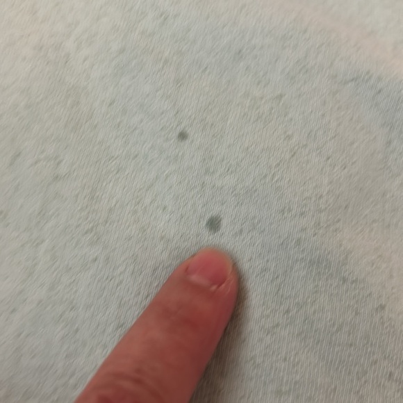 Disney Parks Light Green with Gray Sparkle Disneyworld Spirit Jersey Size Small - Picture 8 of 11